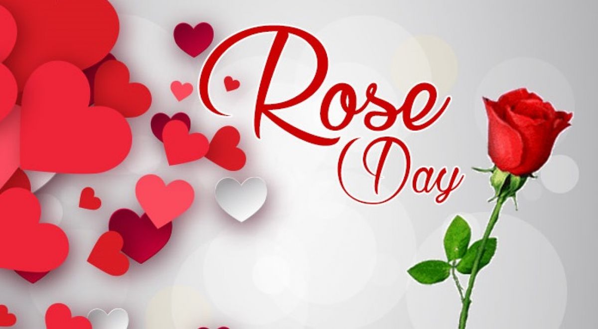  Happy Rose Day Quotes in Hindi | Rose Day Common Messages in ...